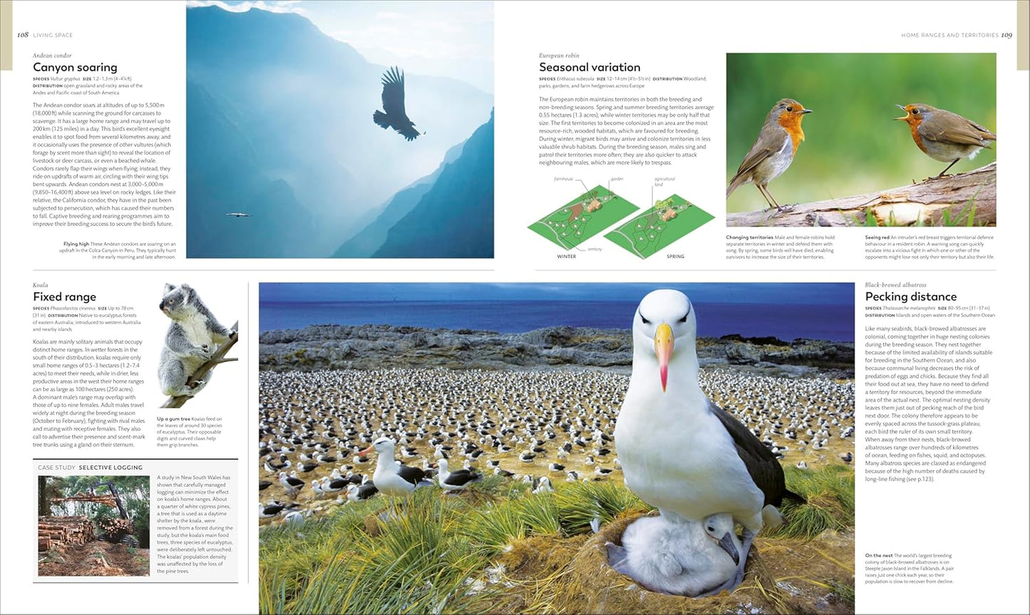 Animal Behaviour: Stories of Instinct, Intelligence and Adaptation - DK Definitive Visual Encyclopedias (Hardback)