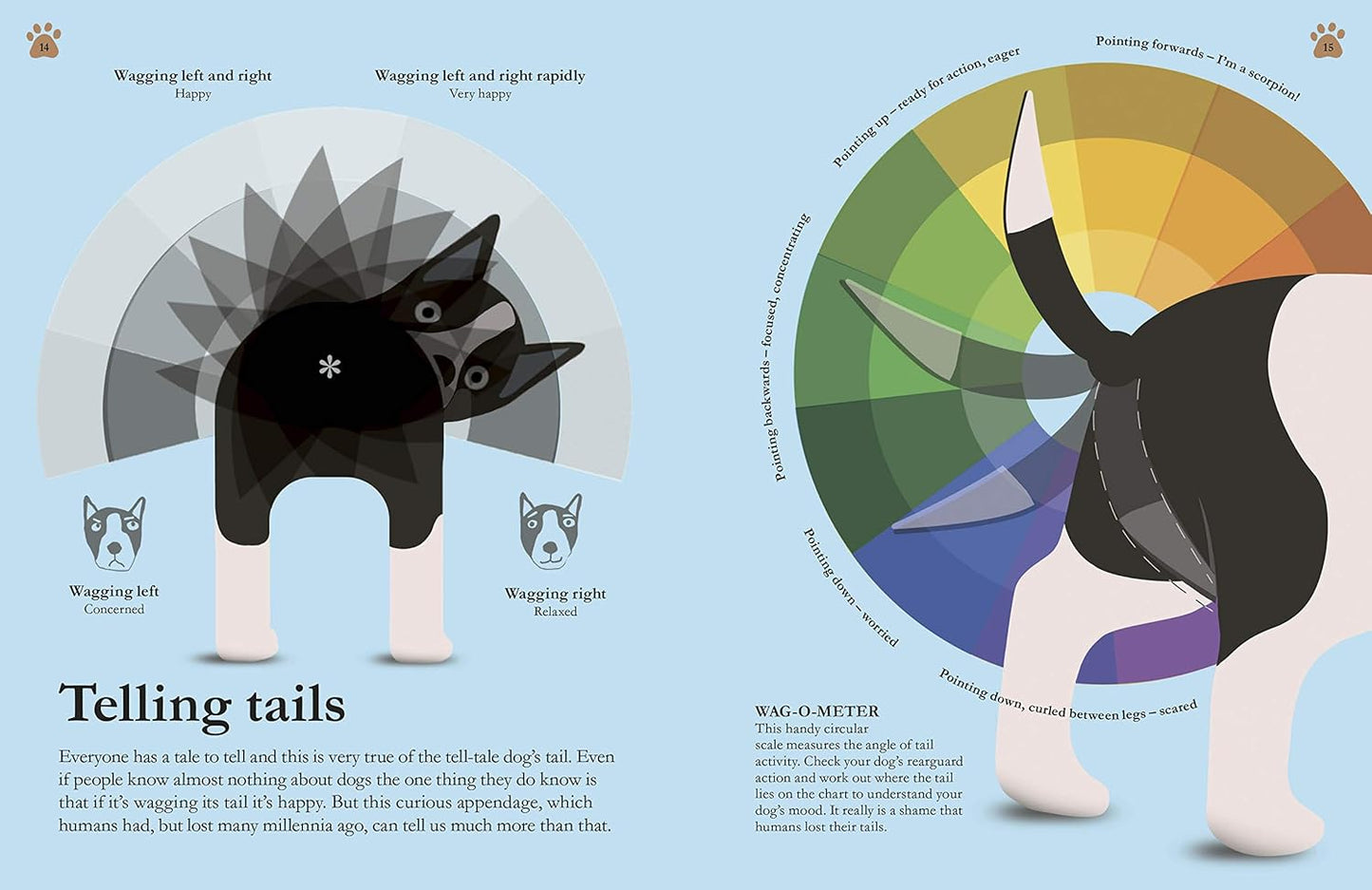 How Dogs Work: A Head-to-Tail Guide to Your Canine - DK Practical Pet Guides (Hardback)