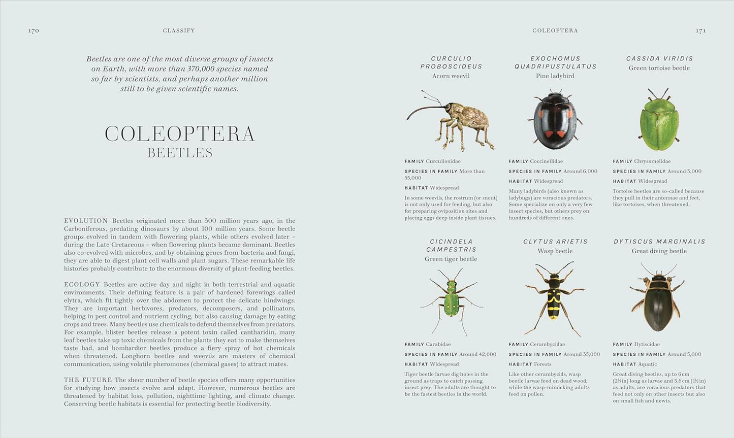 RES Insects: Discover the Science and Secrets Behind the World of Insects - Science and Secrets of Natural History (Hardback)