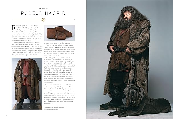 Harry Potter: Costumes of the Wizarding World (Hardcover)