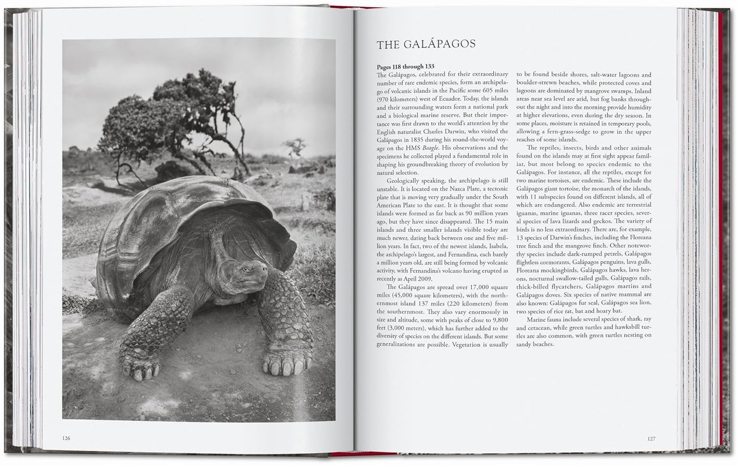Sebastião Salgado. Genesis. 45th Ed. - 45th Edition (Hardback)