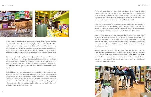 Shop Cats of New York (Revised and Expanded) (Hardback)