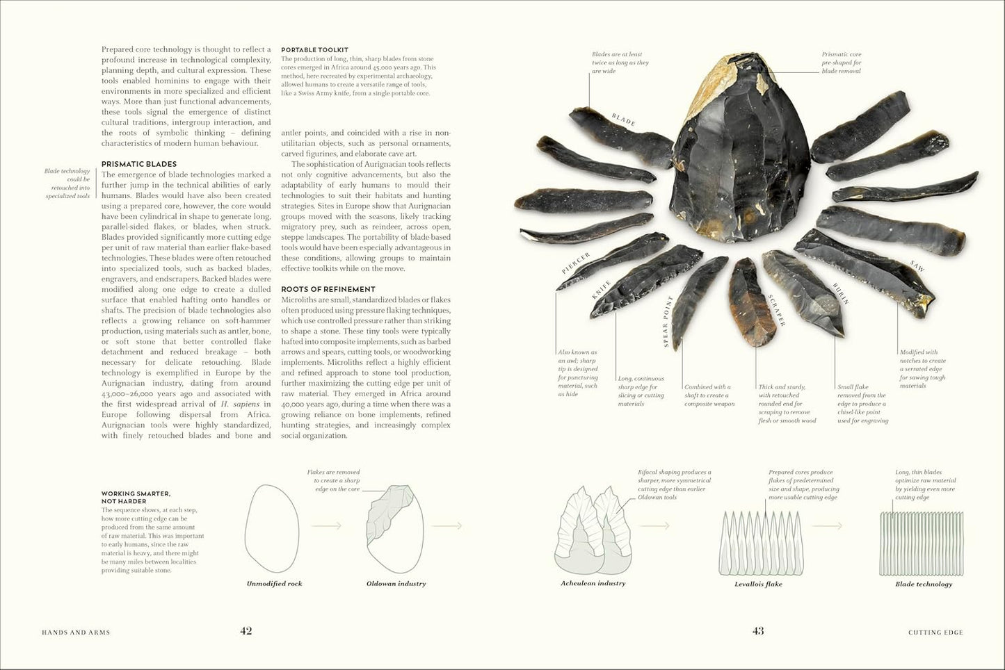 Humans: The Evolution of a Species (Hardback)