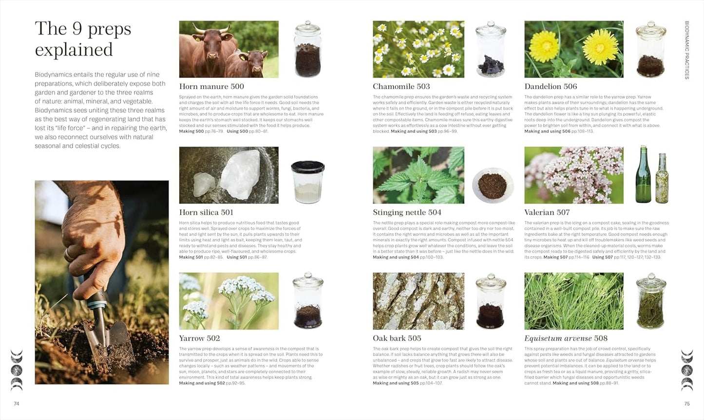 Biodynamic Gardening: Organic Growing Guided by the Moon for Bountiful Harvests (Hardback)
