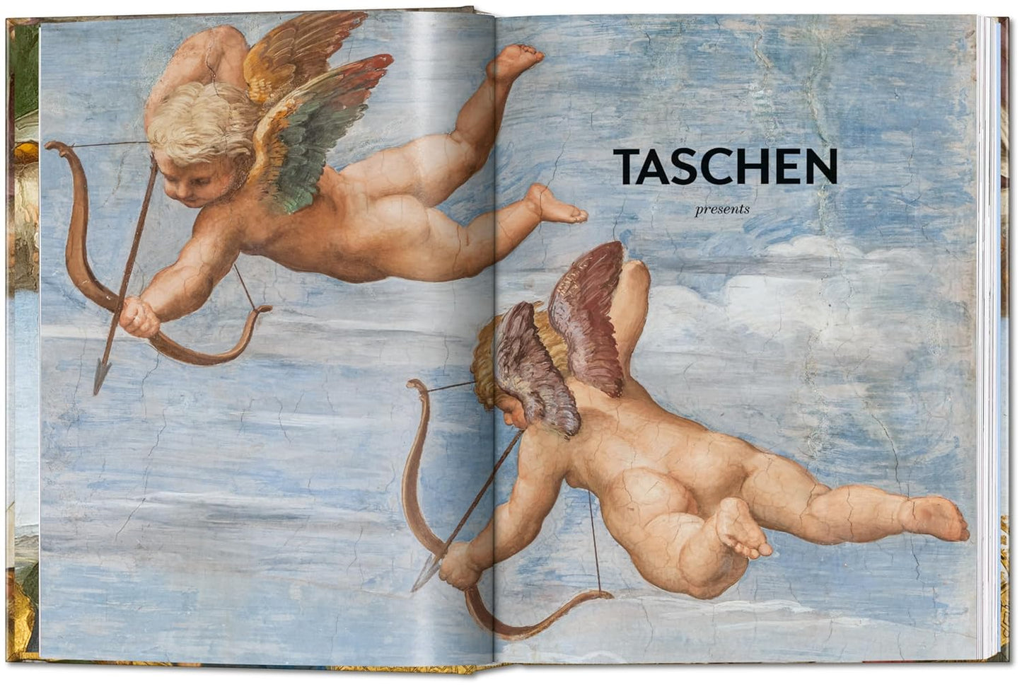 Raphael. Paintings, Frescoes, Tapestries. 45th Ed. - 45th Edition (Hardback)
