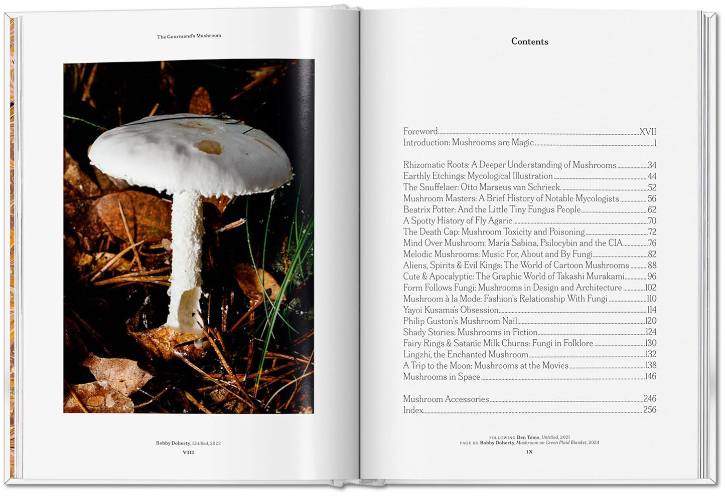 The Gourmand's Mushroom (Hardback)