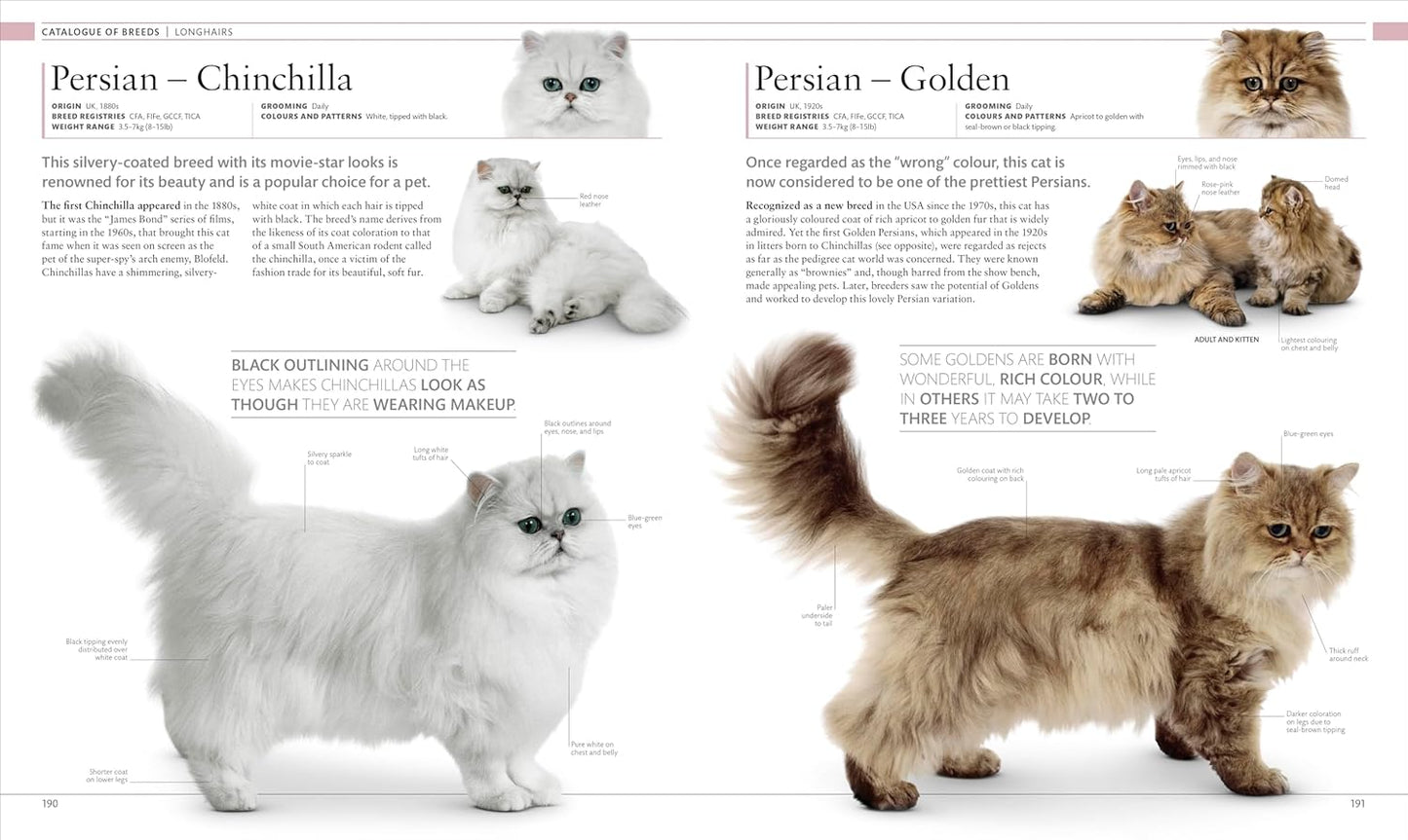 The Cat Encyclopedia: The Definitive Visual Guide - DK Pet Encyclopedias (Hardback)