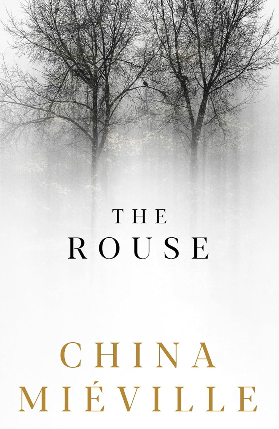 The Rouse By China Miéville (Hardback)