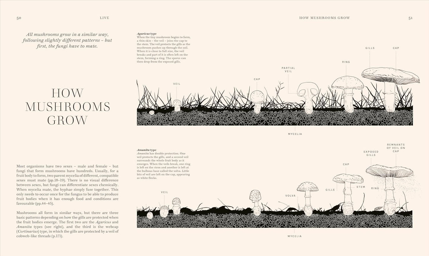 Fungi: Discover the Science and Secrets Behind the World of Mushrooms - Science and Secrets of Natural History (Hardback)