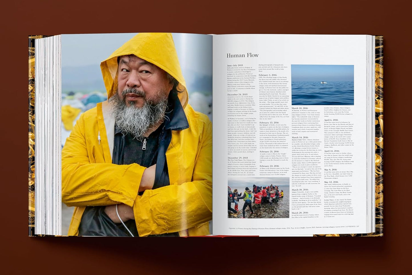 Ai Weiwei. Updated Edition (Hardback)