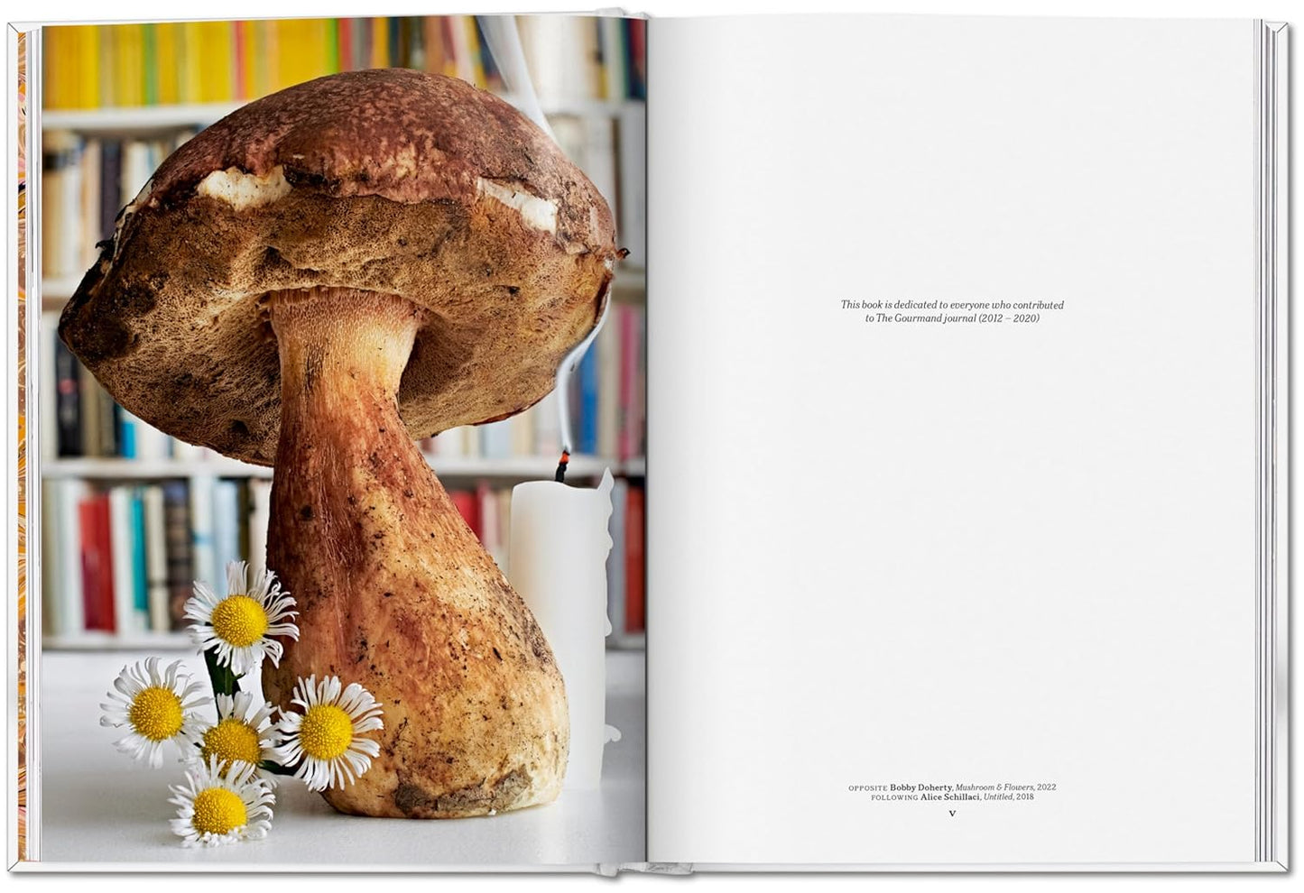 The Gourmand's Mushroom (Hardback)