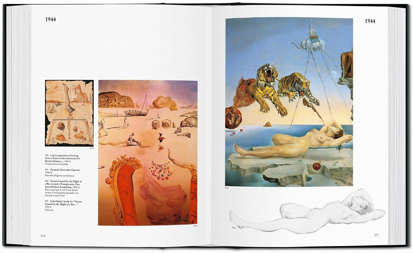 Dalí. The Paintings - Bibliotheca Universalis (Hardback)