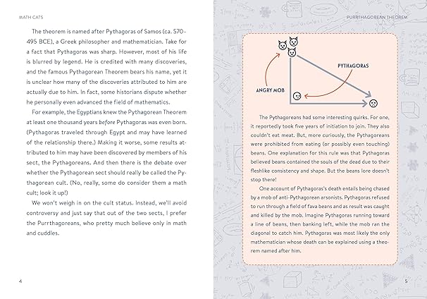 Math Cats: Scratching the Surface of Mathematical Concepts (Hardback)