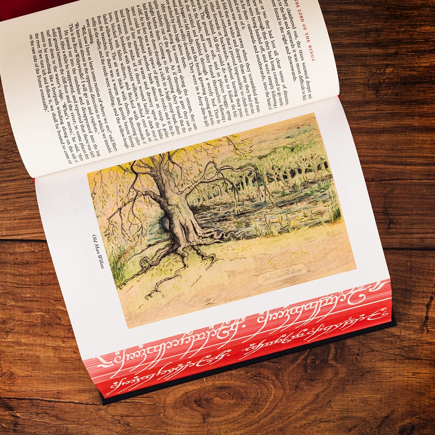 The Lord of the Rings J. R. R. Tolkien (Hardback illustrated)