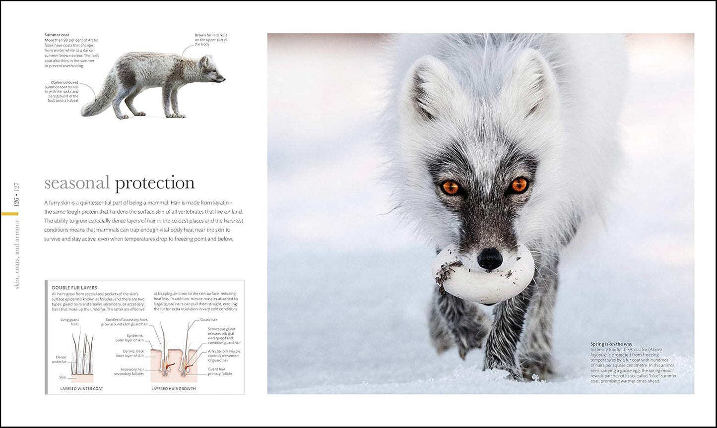 The Science of Animals: Inside their Secret World - DK Secret World Encyclopedias (Hardback)
