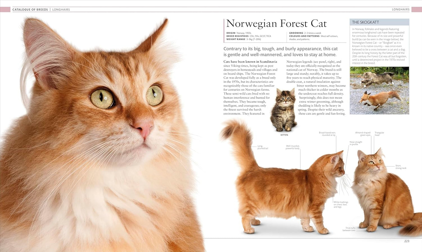 The Cat Encyclopedia: The Definitive Visual Guide - DK Pet Encyclopedias (Hardback)
