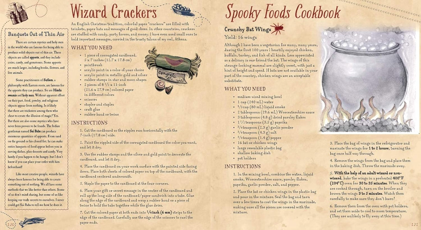 The Book of Wizard Craft: In Which the Apprentice Finds Spells, Potions, Fantastic Tales & 50 Enchanting Things to Make - The Books of Wizard Craft (Leather / fine binding)