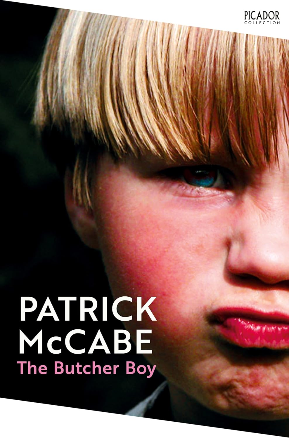 The Butcher Boy By Patrick McCabe