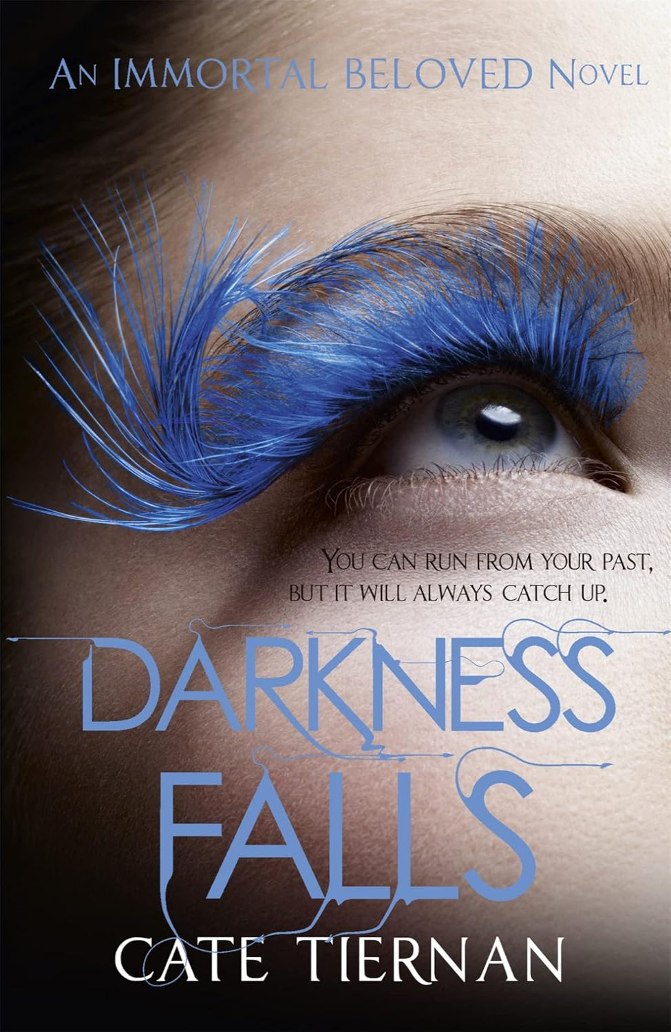 Darkness Falls By Cate Tiernan - Immortal Beloved #2