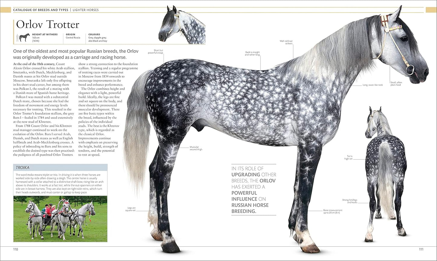 The Horse Encyclopedia - DK Pet Encyclopedias (Hardback)
