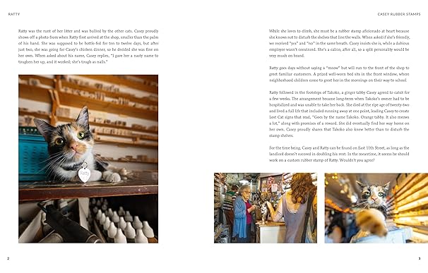 Shop Cats of New York (Revised and Expanded) (Hardback)