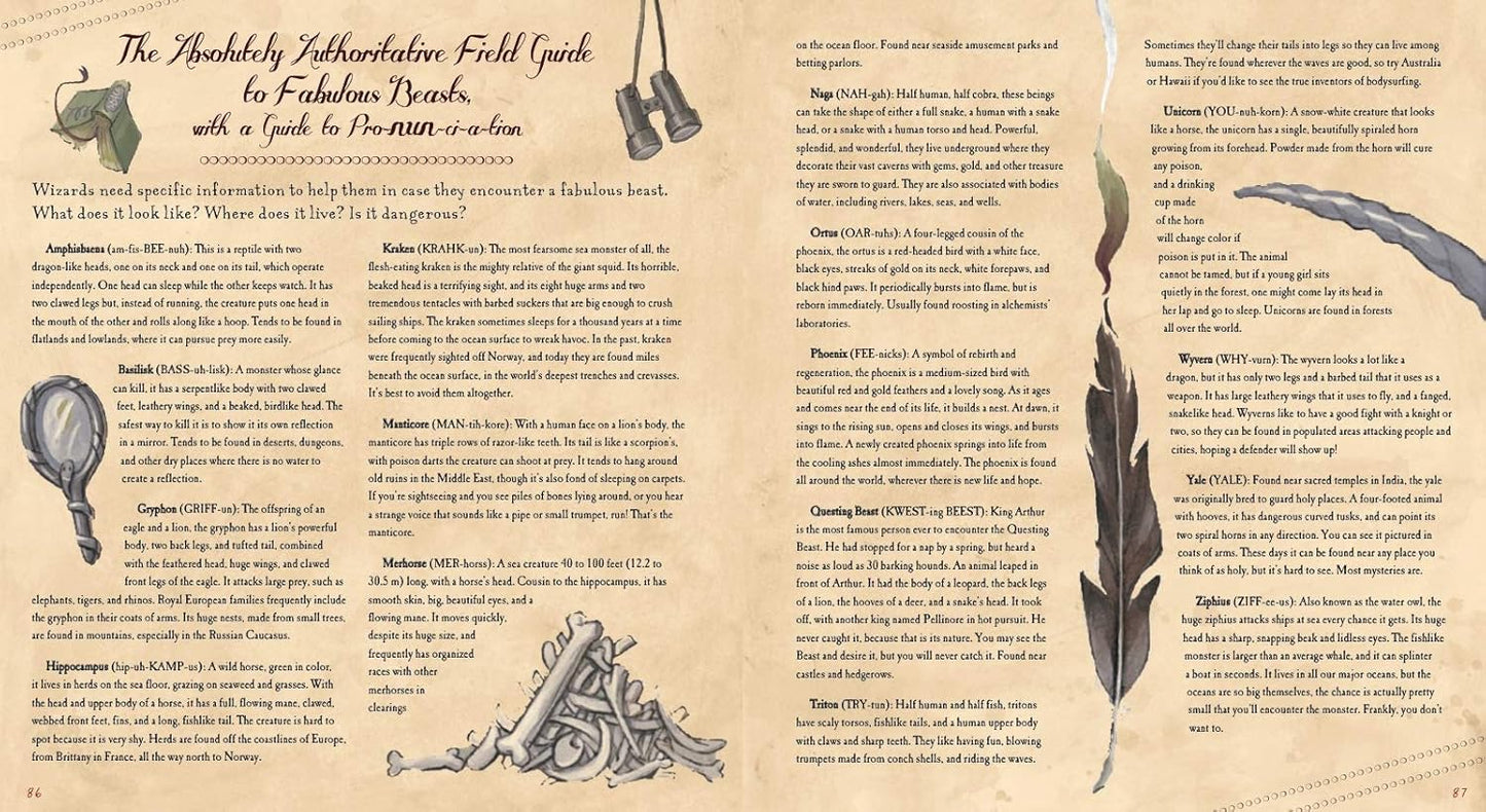 The Book of Wizard Craft: In Which the Apprentice Finds Spells, Potions, Fantastic Tales & 50 Enchanting Things to Make - The Books of Wizard Craft (Leather / fine binding)