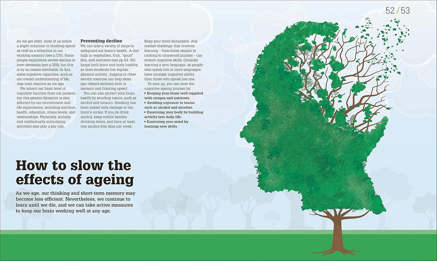 How the Brain Works: The Facts Visually Explained - DK How Stuff Works (Hardback)