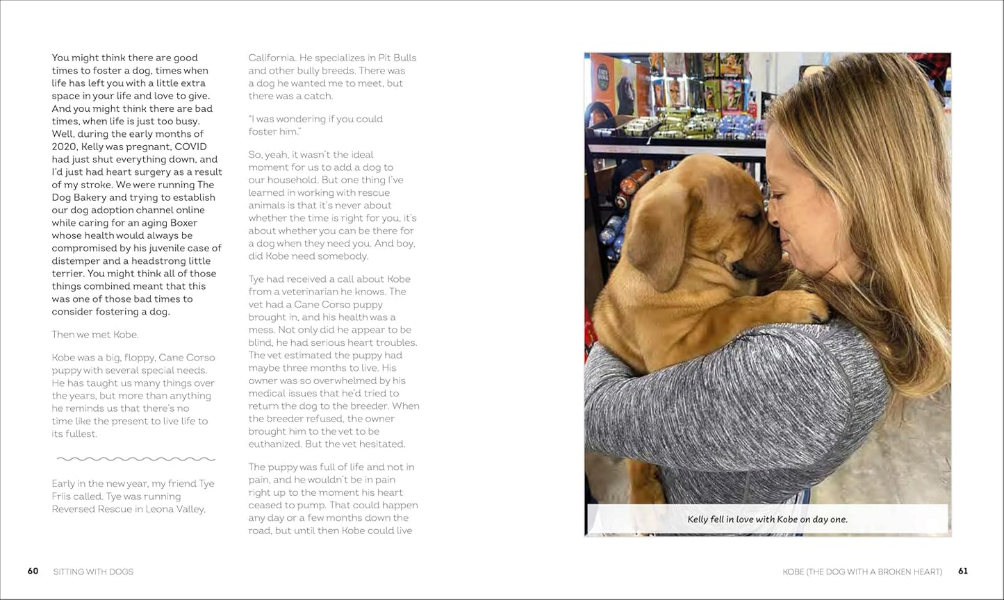 Sitting with Dogs: Stories of Rescue Dogs Going from Lost to Loved (Hardback)