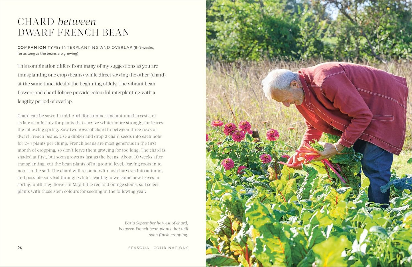 Grow Together: 50 Planting Partnerships to Boost Your Harvests (Hardback)