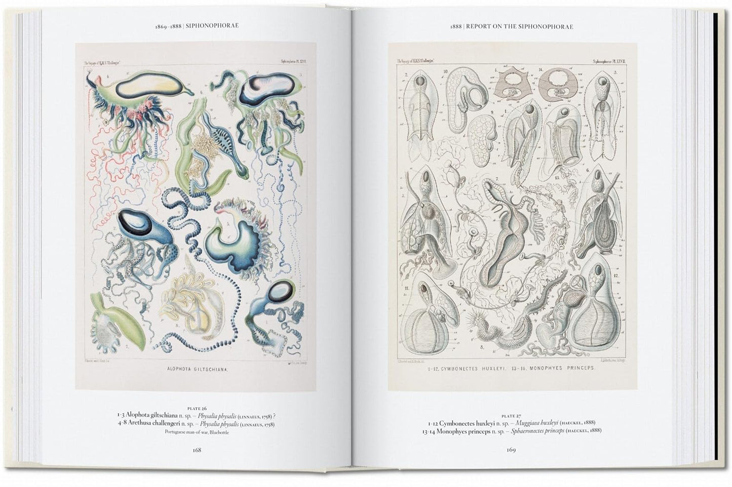 The Art and Science of Ernst Haeckel. 45th Ed. - 45th Edition (Hardback)