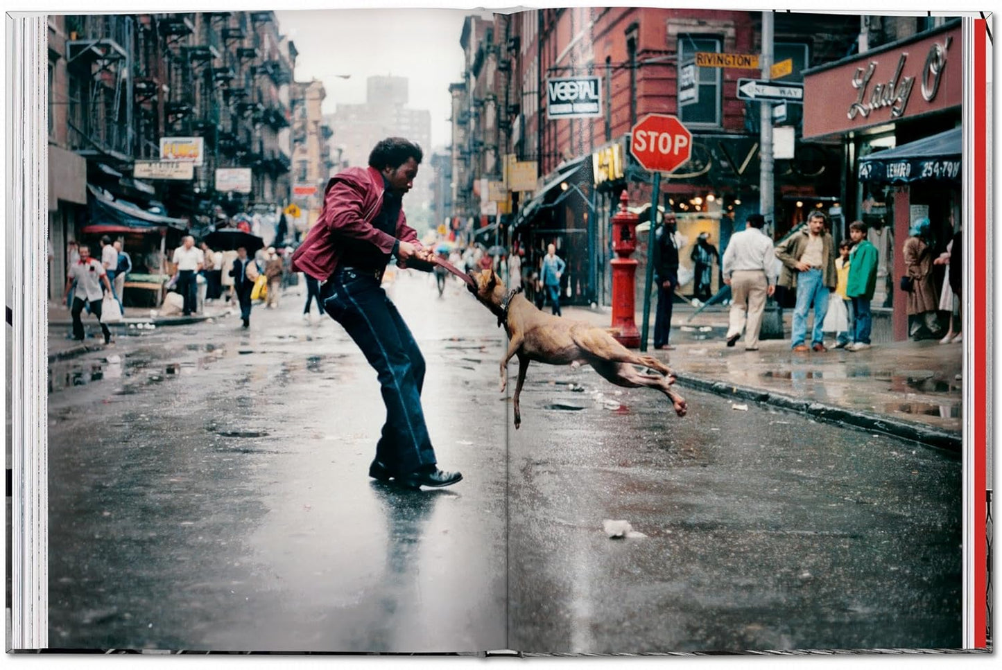New York. Portrait of a City (Hardback)