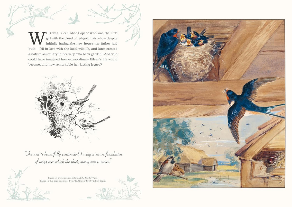 Eileen Soper: The Wonder of Nature Pull-Out Prints: With 22 vintage illustrations, plus quotes and facts (Hardback)
