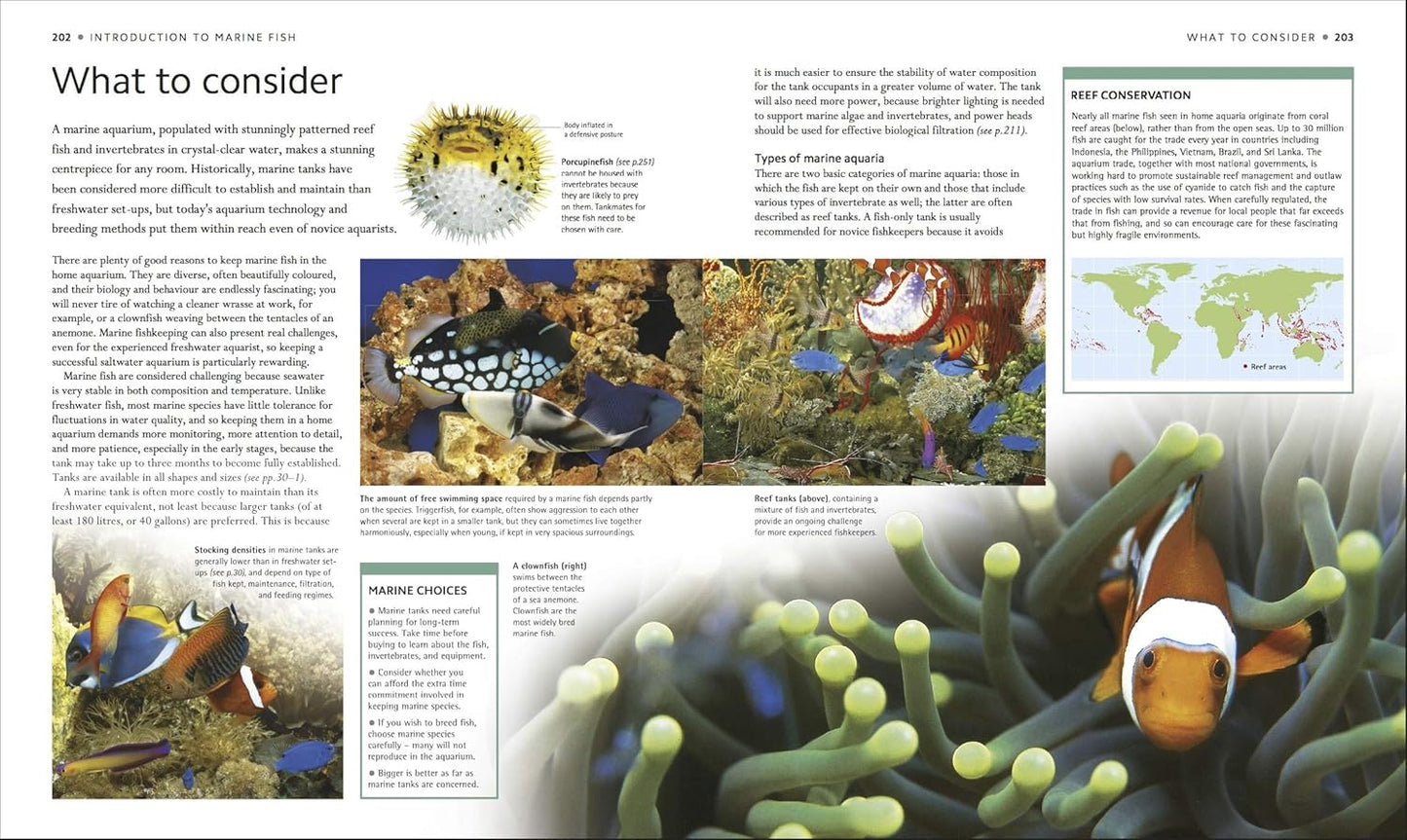Encyclopedia of Aquarium and Pond Fish - DK Pet Encyclopedias (Hardback)
