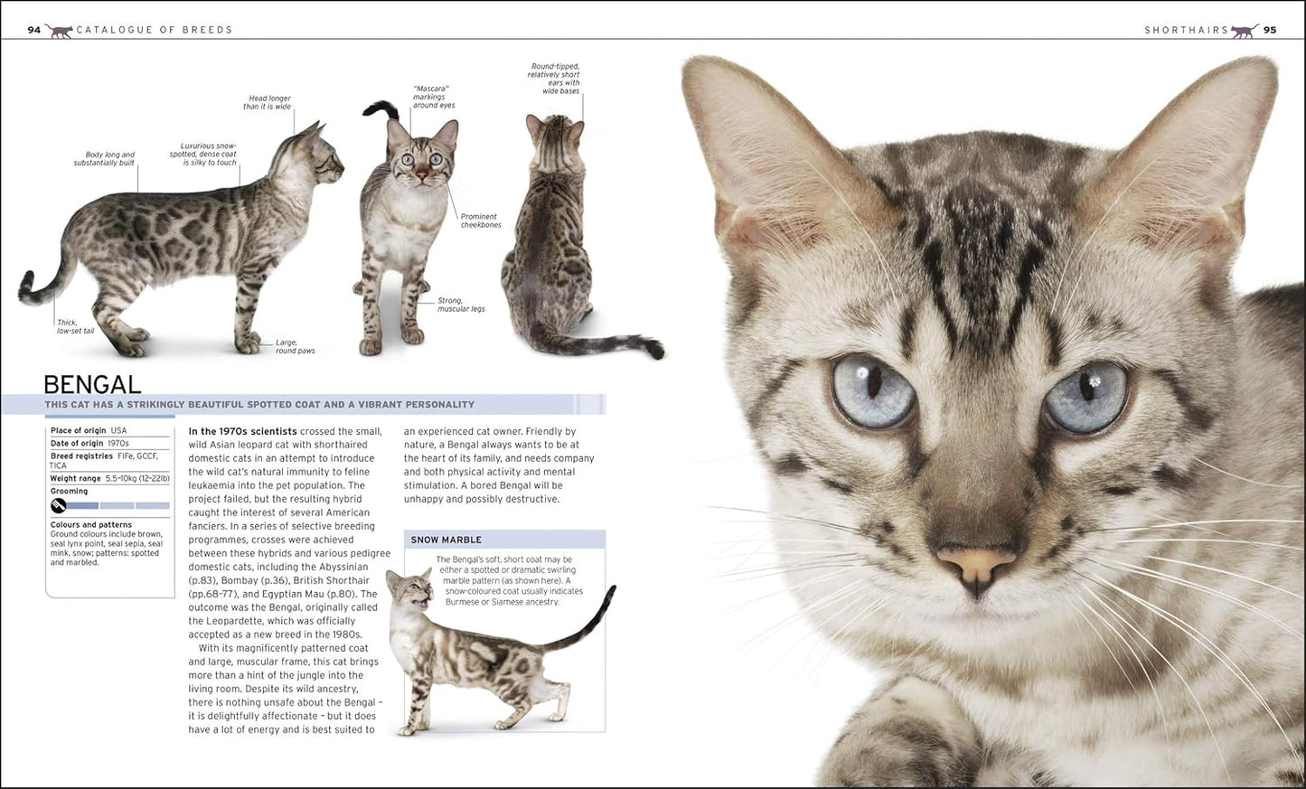 The Complete Cat Breed Book: Choose the Perfect Cat for You - DK Pet Breed Guides (Hardback)