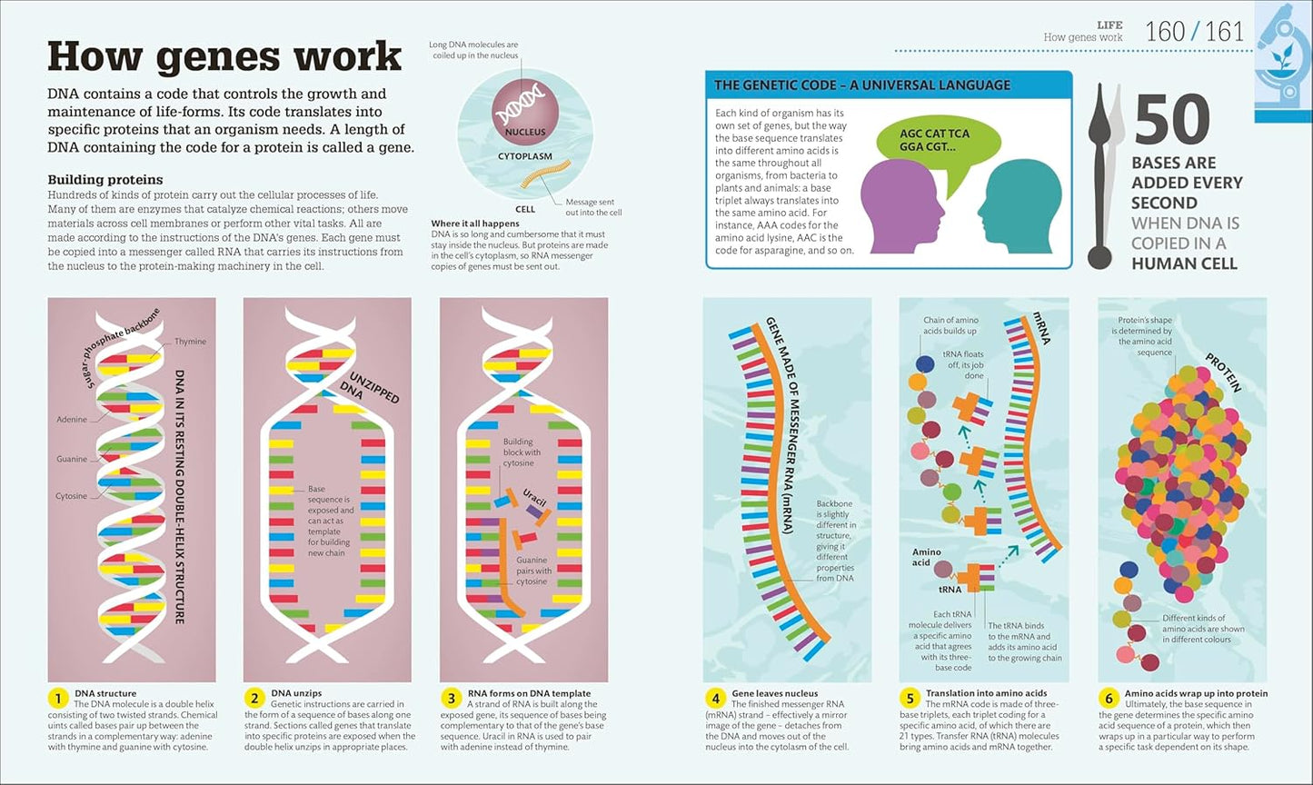 How Science Works: The Facts Visually Explained - DK How Stuff Works (Hardback)
