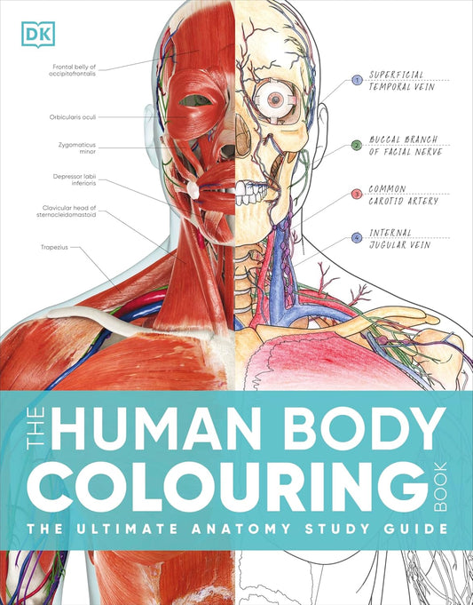 The Human Body Colouring Book: The Ultimate Anatomy Study Guide - DK Human Body Guides (Paperback)