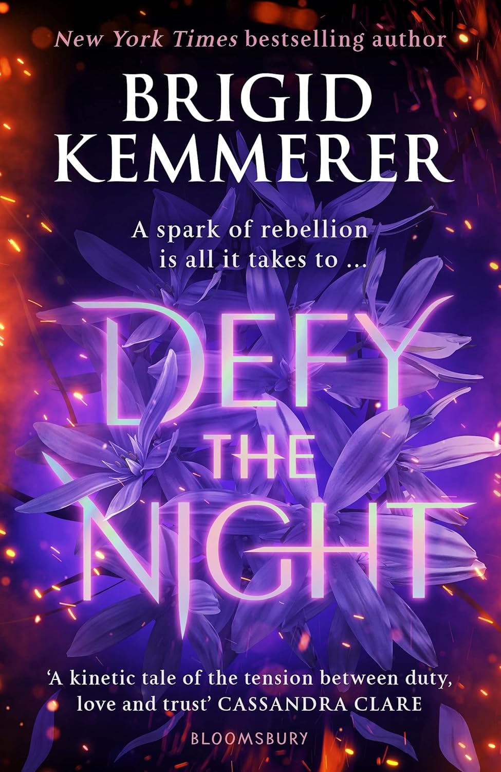 Defy the Night By Brigid Kemmerer - Defy the Night #1