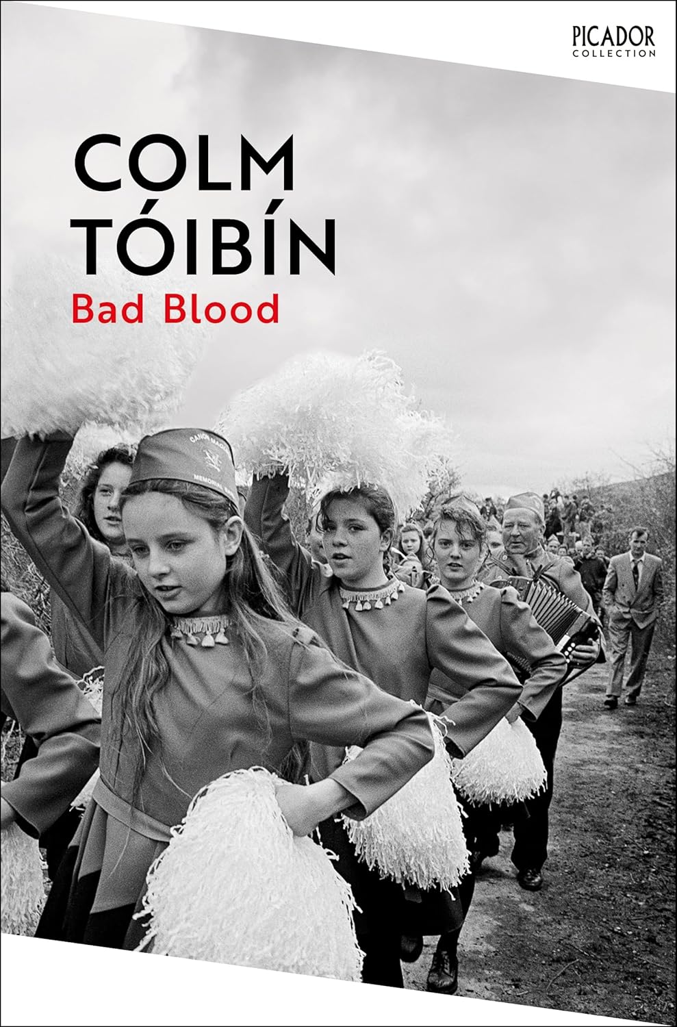 Bad Blood: A Walk Along the Irish Border By Colm Tóibín