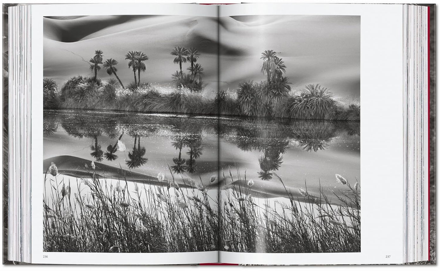 Sebastião Salgado. Genesis. 45th Ed. - 45th Edition (Hardback)