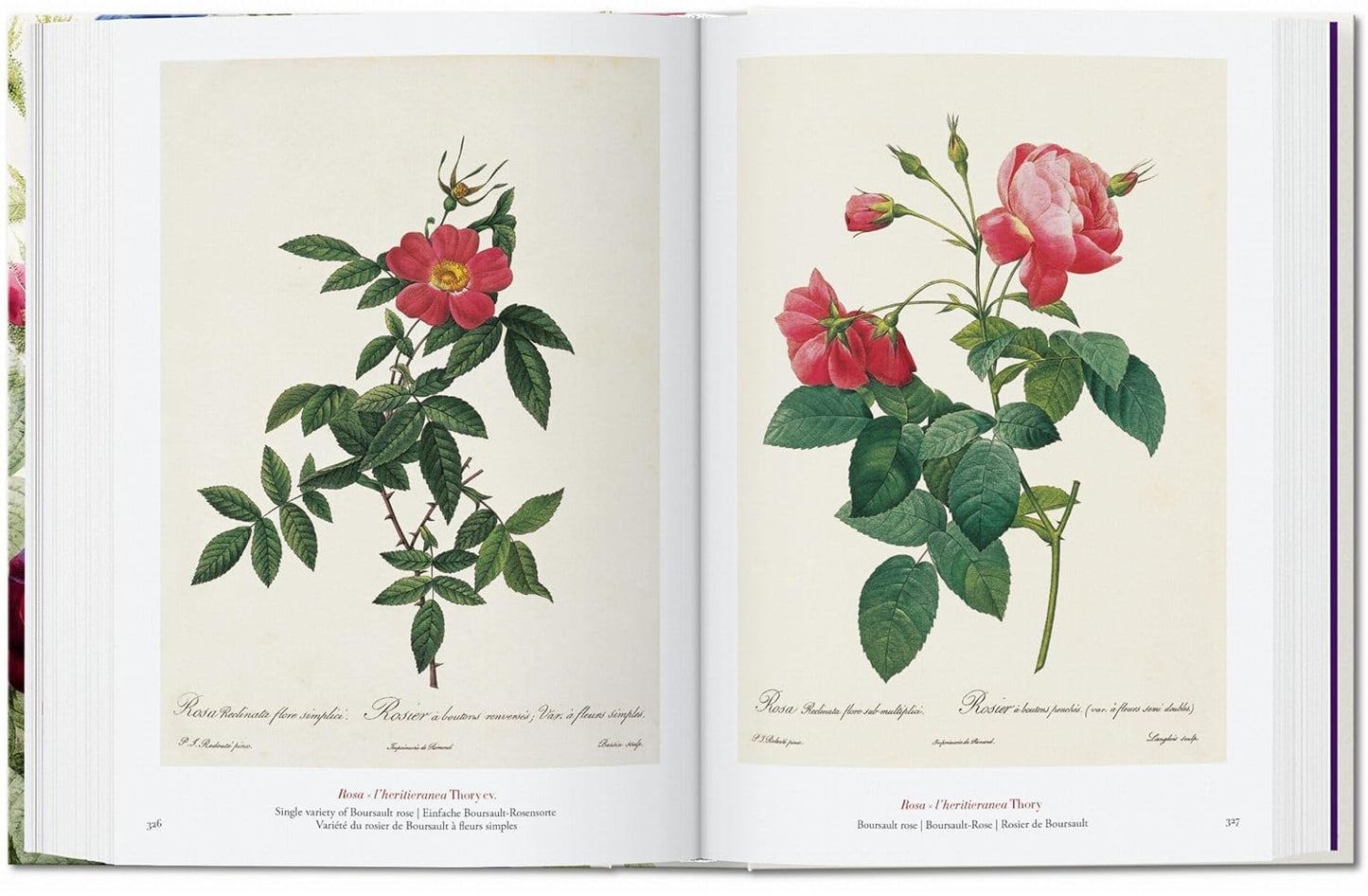 Redouté. The Book of Flowers. 45th Ed. - 45th Edition (Hardback)