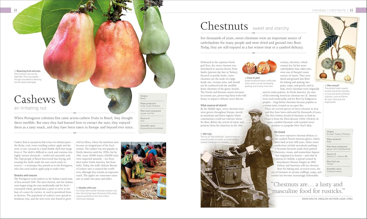 The Food Book: The Stories, Science, and History of What We Eat - DK Nature Books (Hardback)