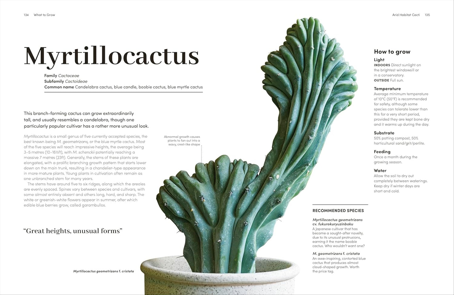 Cacti and Succulents: The Plant Rescuer's On-point Advice to Keep Your Plants Looking Sharp (Hardback)