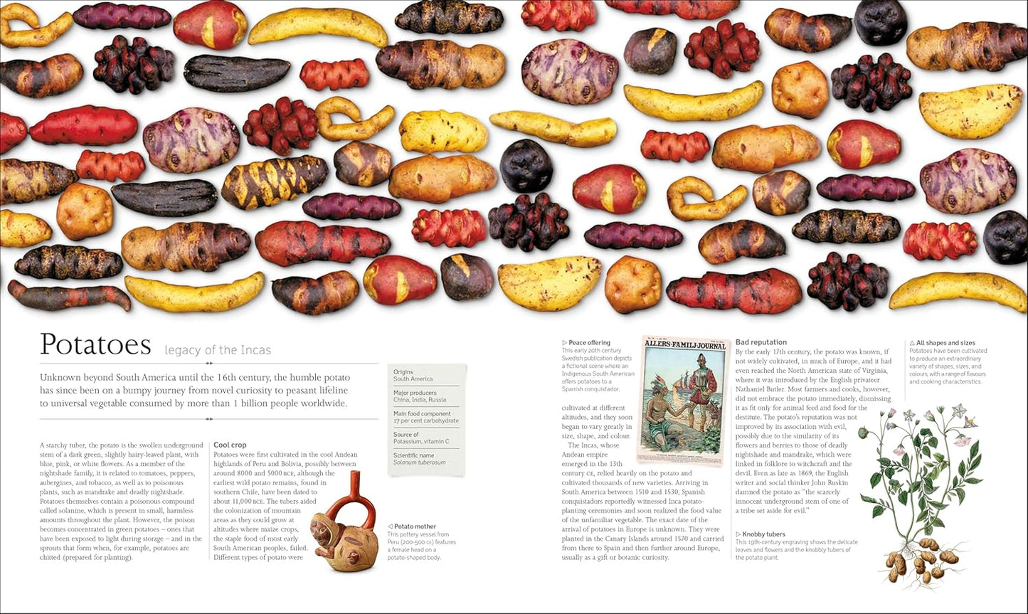 The Food Book: The Stories, Science, and History of What We Eat - DK Nature Books (Hardback)