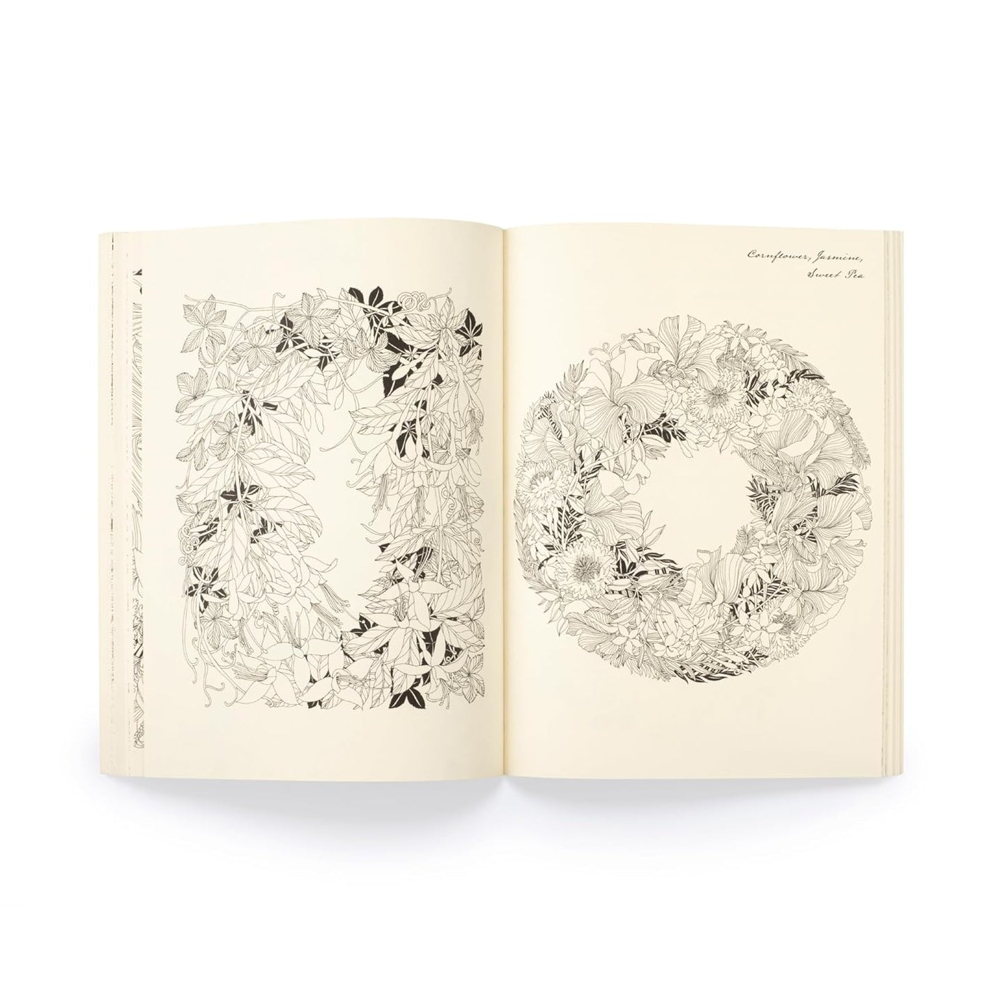 Floribunda Year: A Flower Colouring Companion (Paperback)