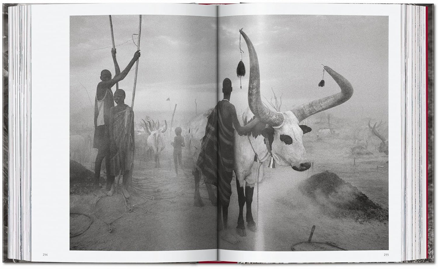 Sebastião Salgado. Genesis. 45th Ed. - 45th Edition (Hardback)