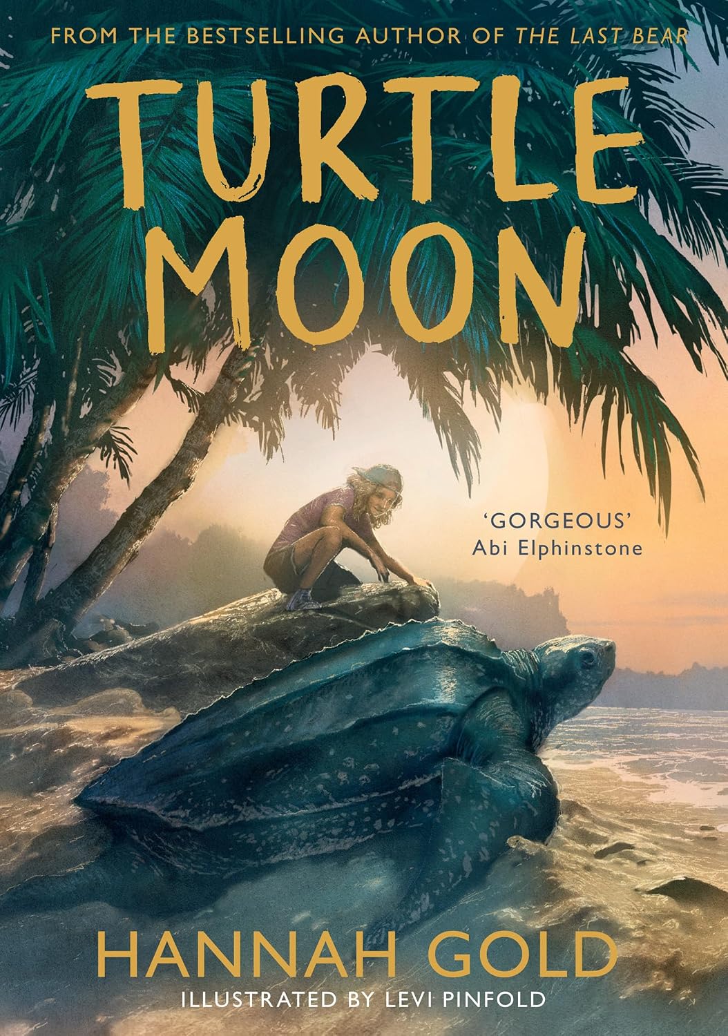 Turtle Moon By Hannah Gold