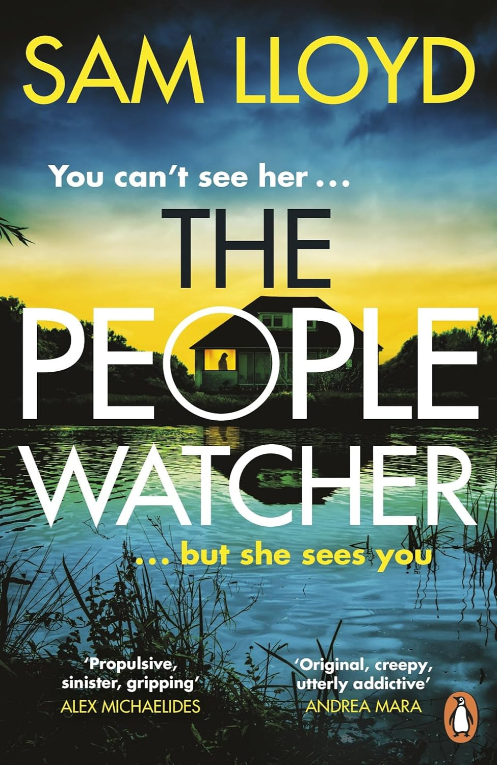 The People Watcher By Sam Lloyd