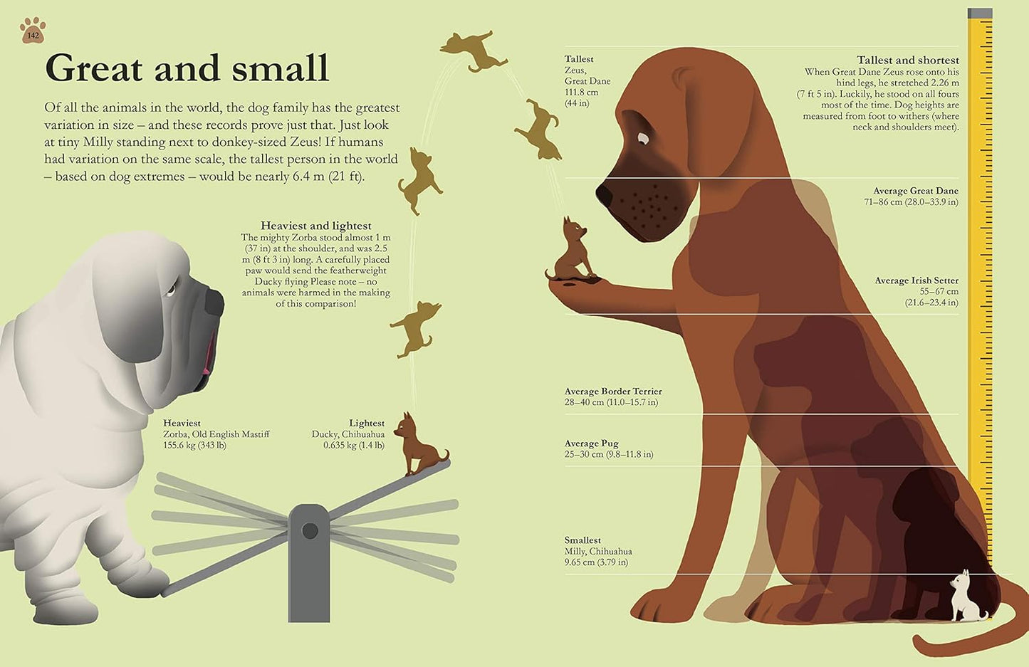 How Dogs Work: A Head-to-Tail Guide to Your Canine - DK Practical Pet Guides (Hardback)