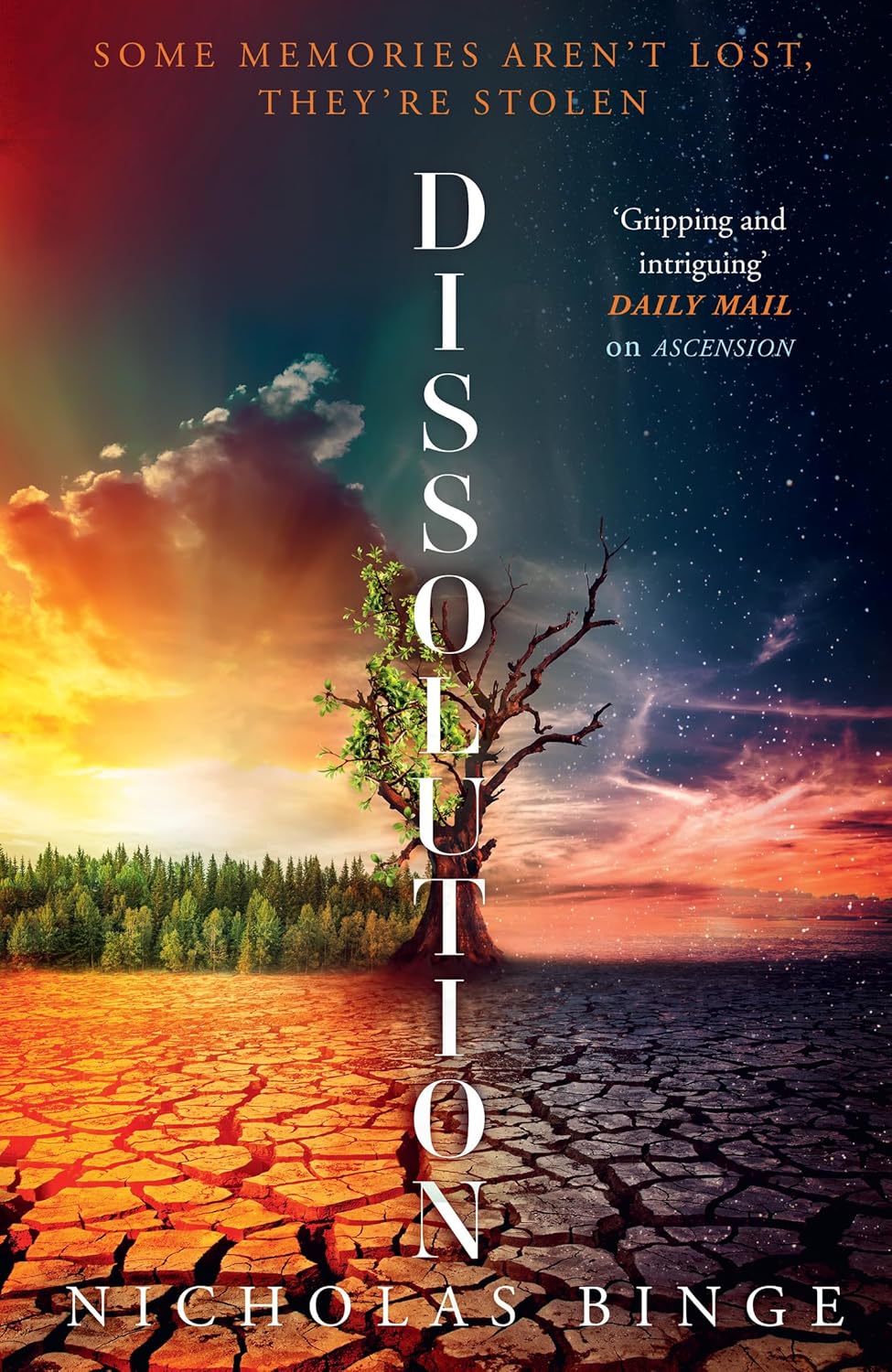 Dissolution By Nicholas Binge