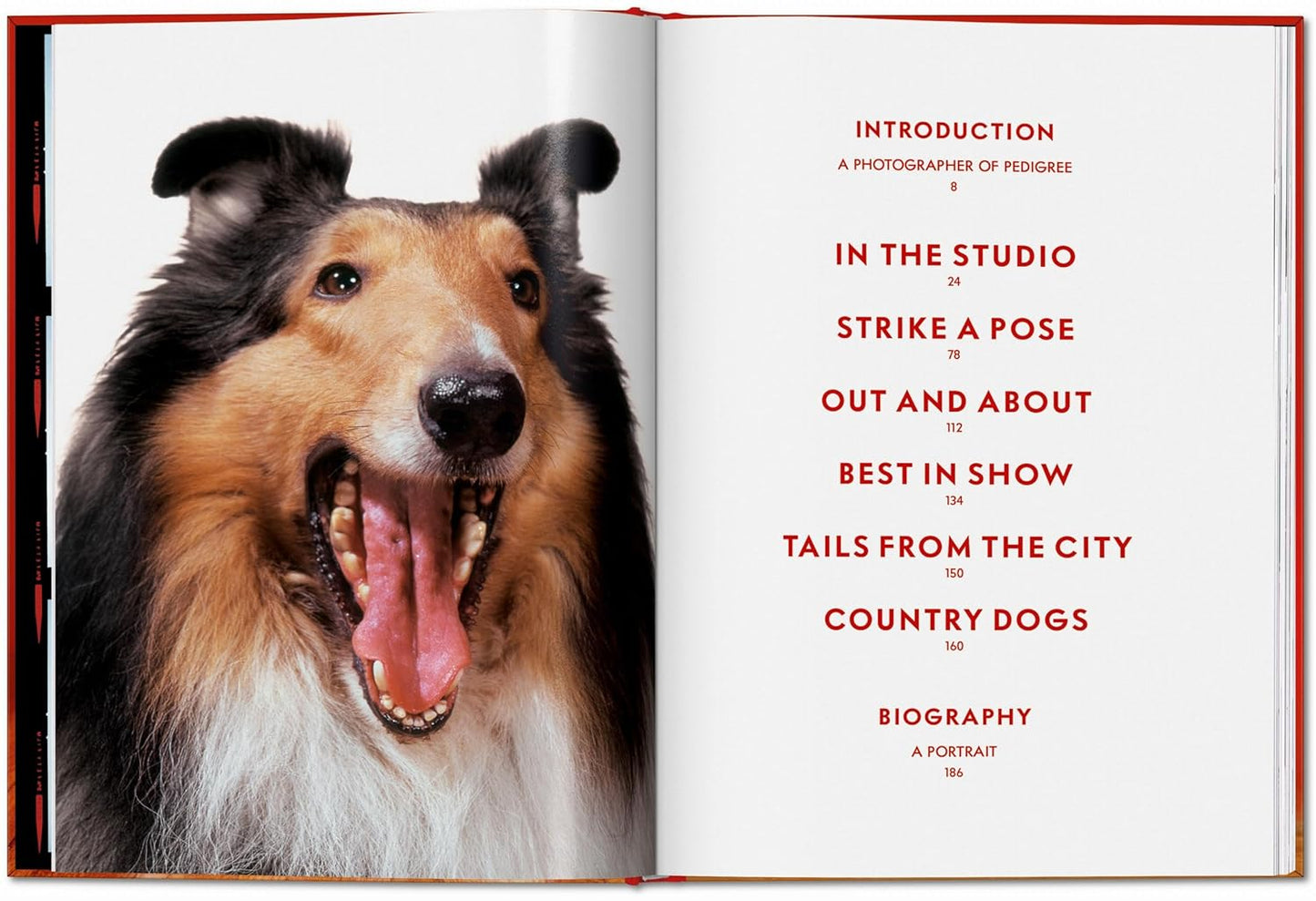 Walter Chandoha. Dogs. Photographs 1941–1991 (Hardback)